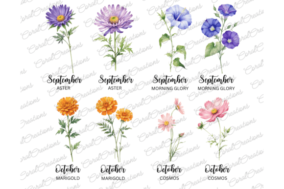 50 Watercolor Birth Month Flowers PNG
